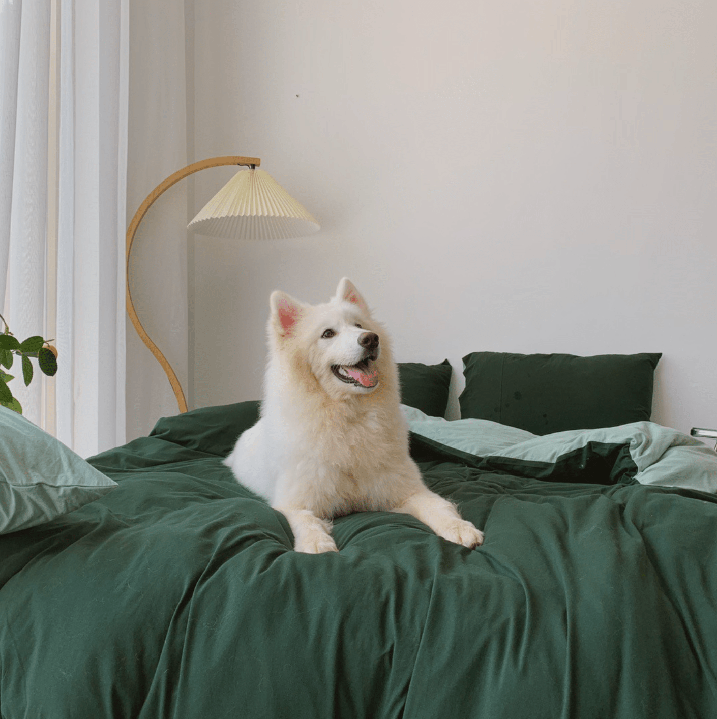  - Ever Lasting - Duo Bedding Set / Orange - Bedding Set - Ever Lasting