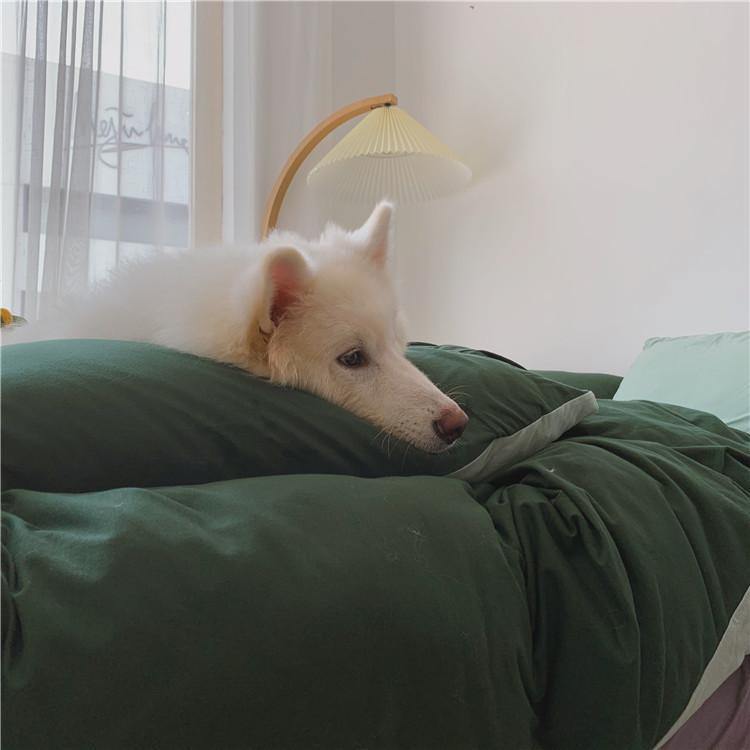  - Ever Lasting - Duo Bedding Set / Orange - Bedding Set - Ever Lasting