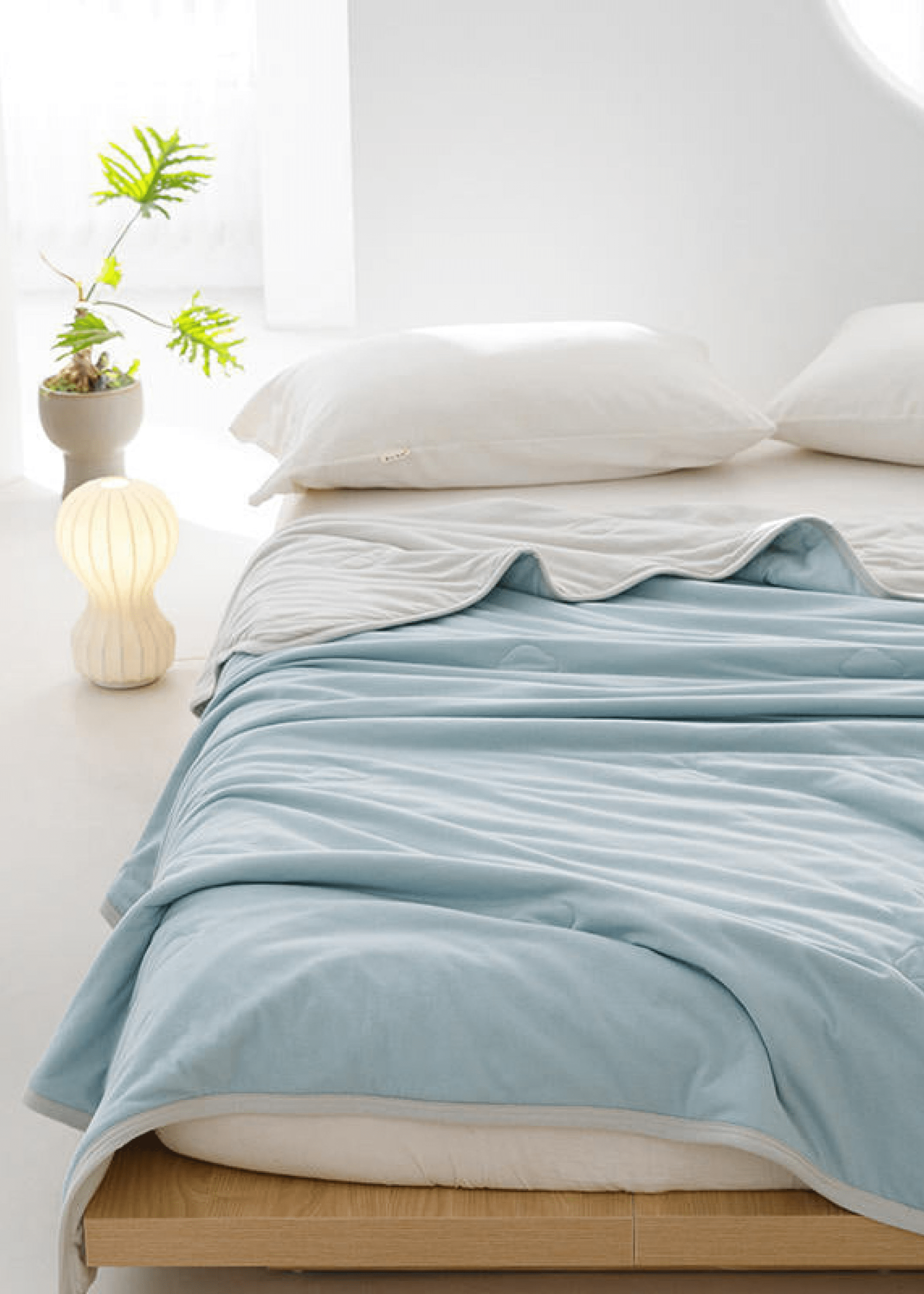  - Ever Lasting - DUO Pastel Cotton Blanket (6 Colors) - Blankets - Ever Lasting