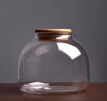 Large Glass Container Containers