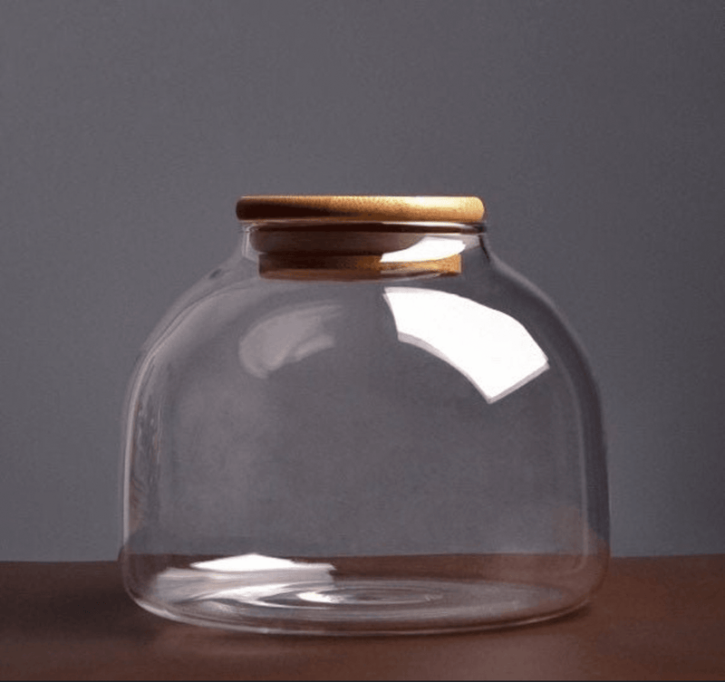 https://everlastingfabric.com/cdn/shop/files/large-glass-container-containers-908_800x.png?v=1696523763