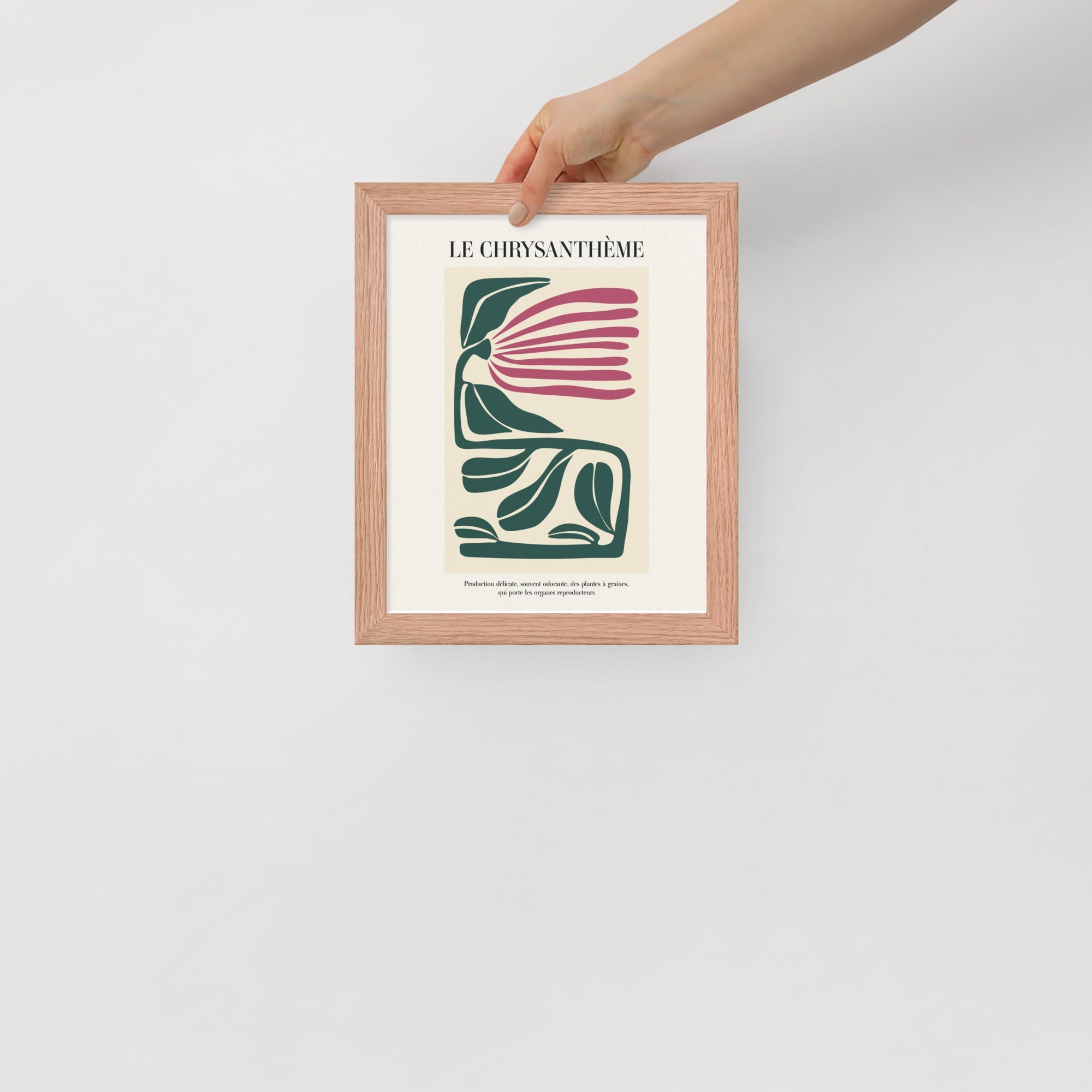 -Ever Lasting - Le Chrysanthème – Botanical Modern Flower Wall Art - Ever Lasting