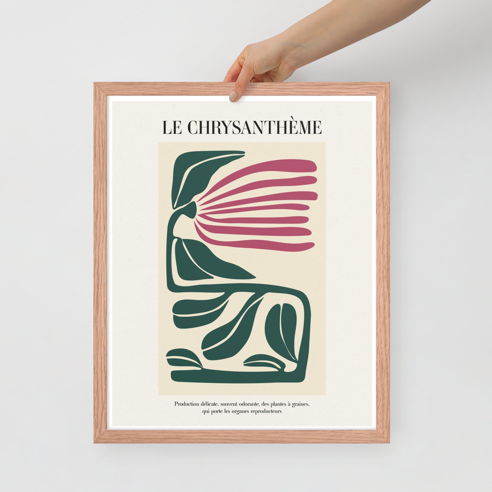 -Ever Lasting - Le Chrysanthème – Botanical Modern Flower Wall Art - Ever Lasting