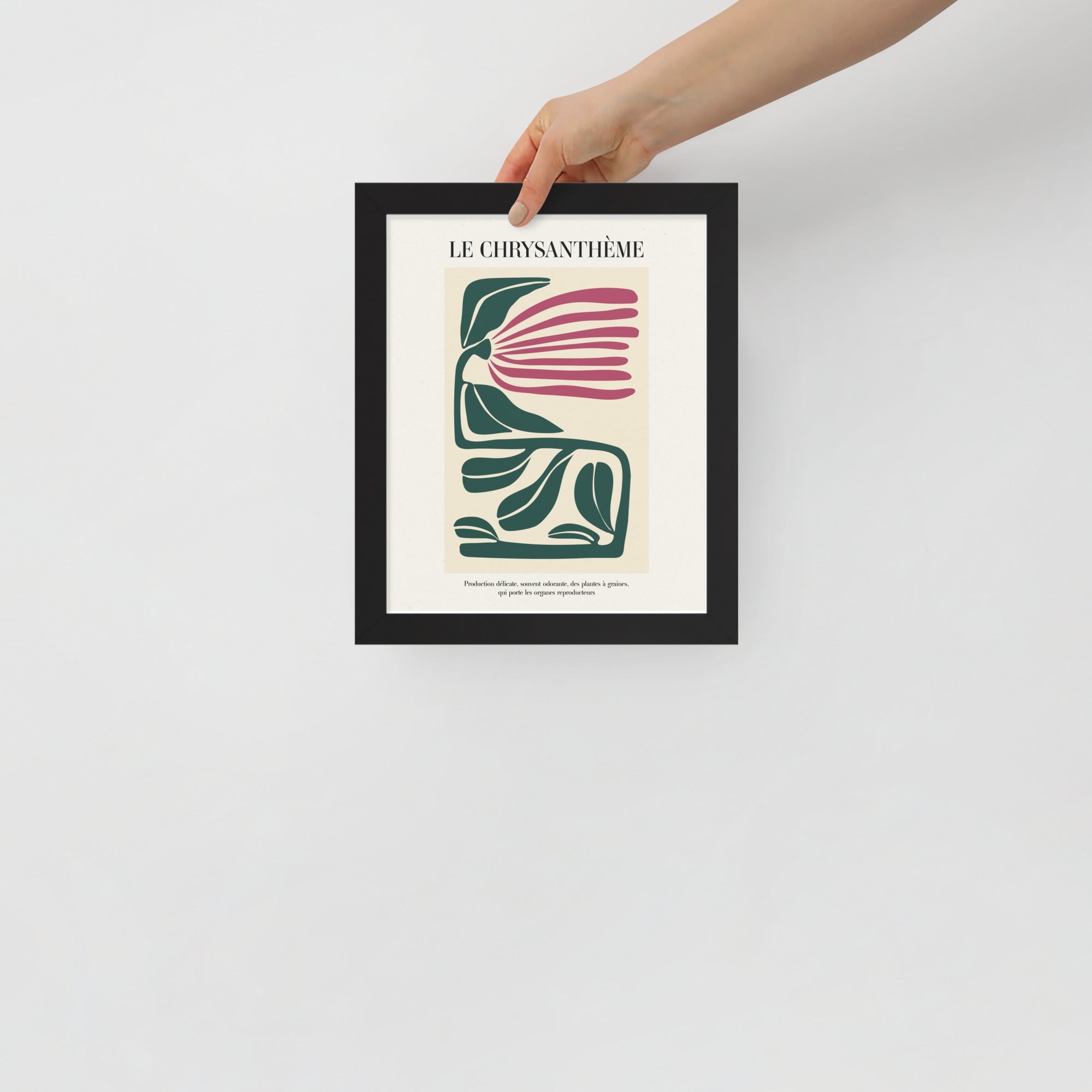 -Ever Lasting - Le Chrysanthème – Botanical Modern Flower Wall Art - Ever Lasting