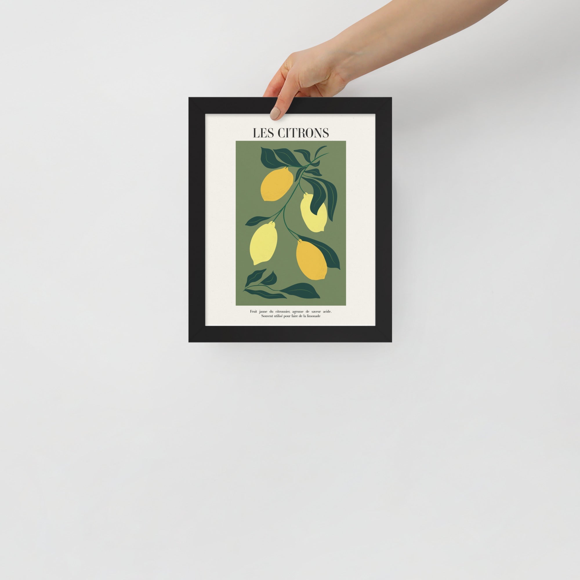 -Ever Lasting - Les Citrons – Lemon Botanical French Kitchen Art Print -Poster -Ever Lasting