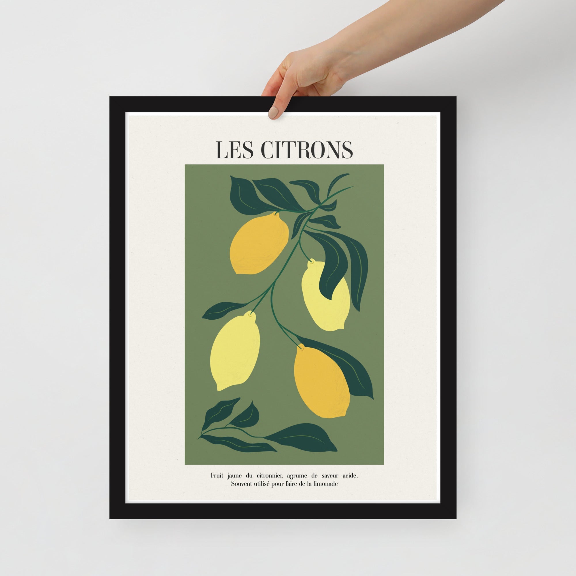 -Ever Lasting - Les Citrons – Lemon Botanical French Kitchen Art Print -Poster -Ever Lasting