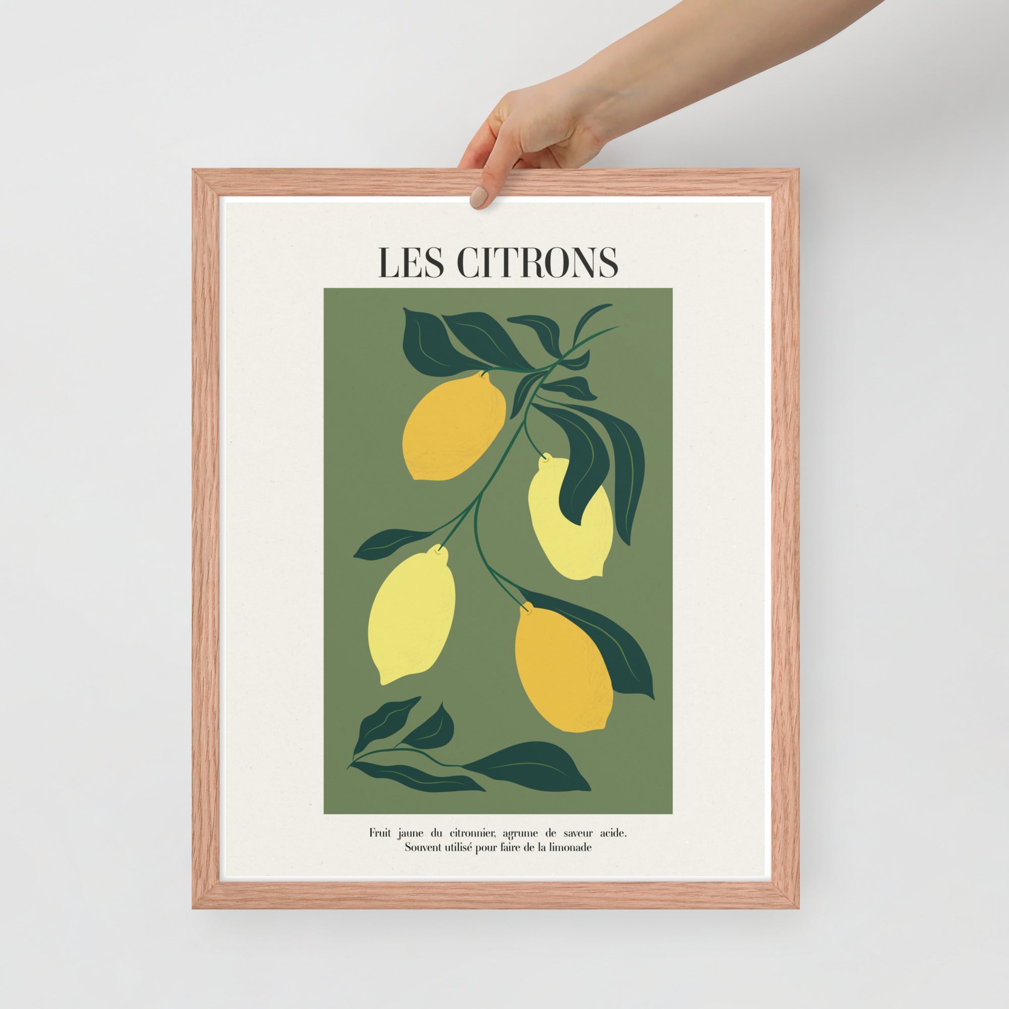 -Ever Lasting - Les Citrons – Lemon Botanical French Kitchen Art Print -Poster -Ever Lasting
