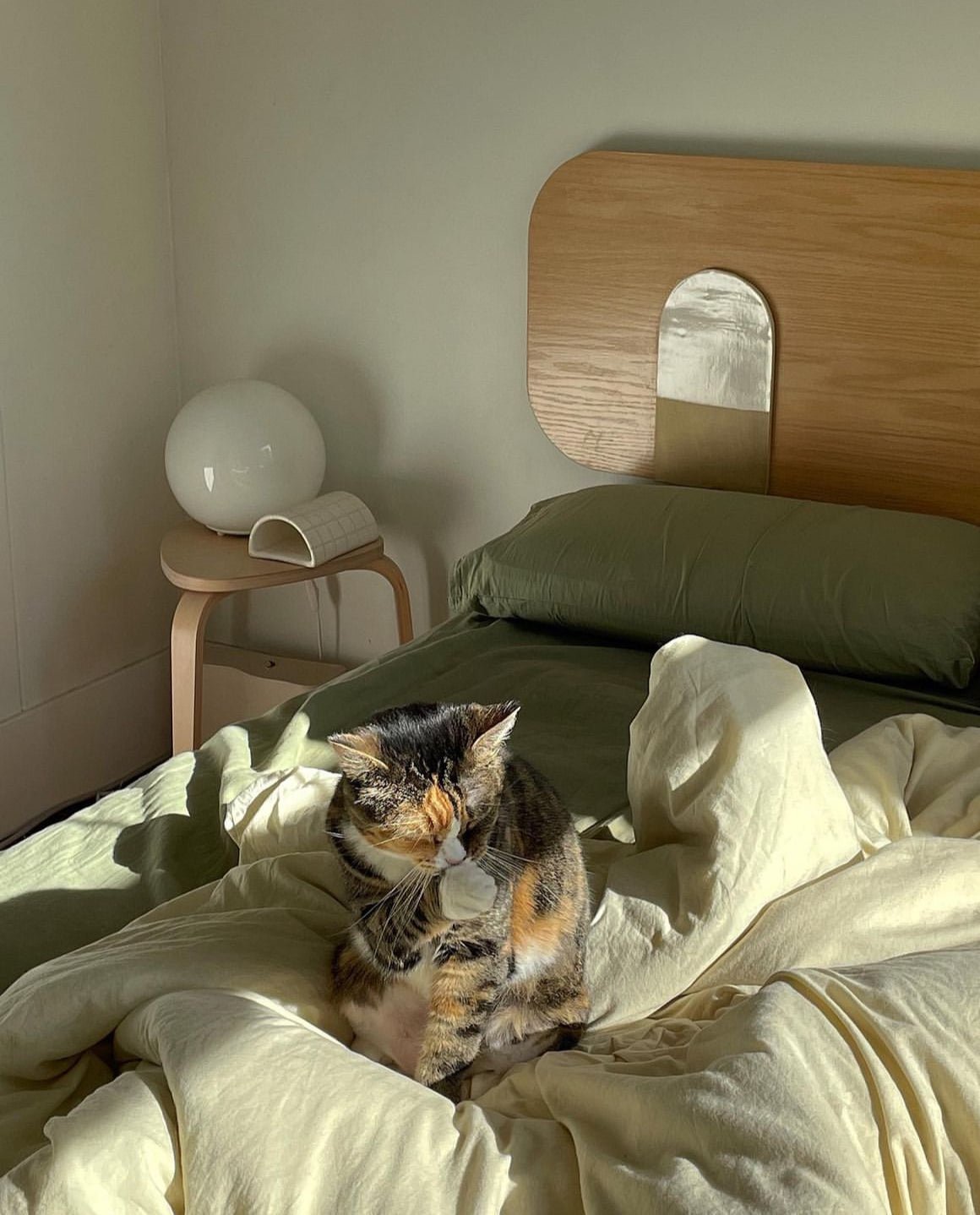  - Ever Lasting - Mixed Color Bedding Set / Green + Yellow - Bedding Set - Ever Lasting