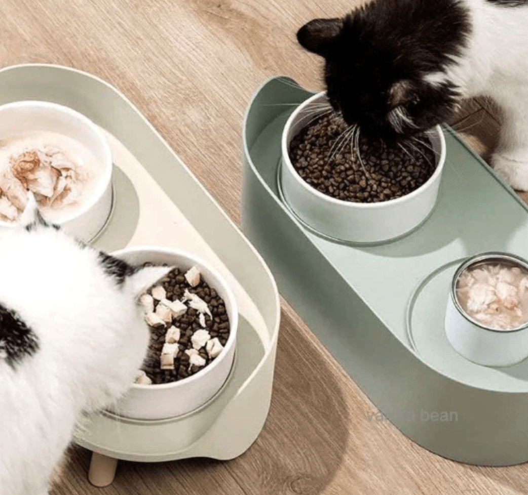  - Ever Lasting - Pet Bowl Stand Set - Homeware - Ever Lasting