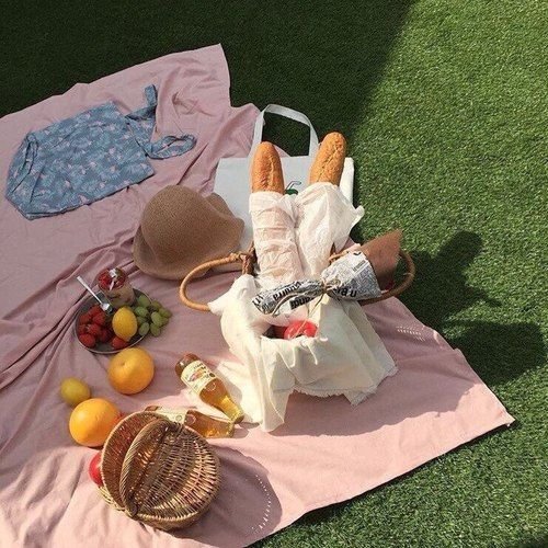  - Ever Lasting - Pink Picnic Blanket & Beach Blanket - Homeware - Ever Lasting