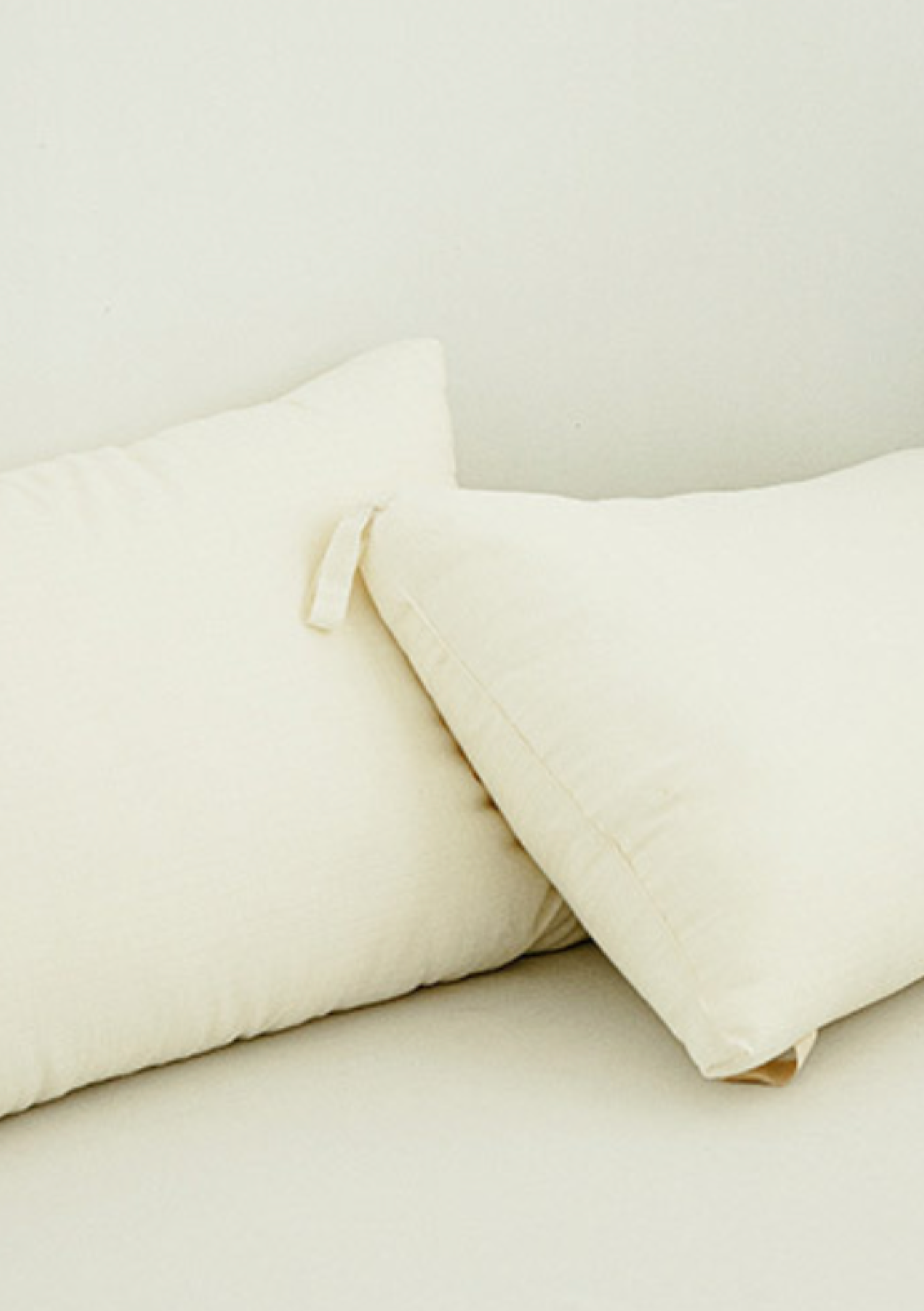Plant Based Pillow