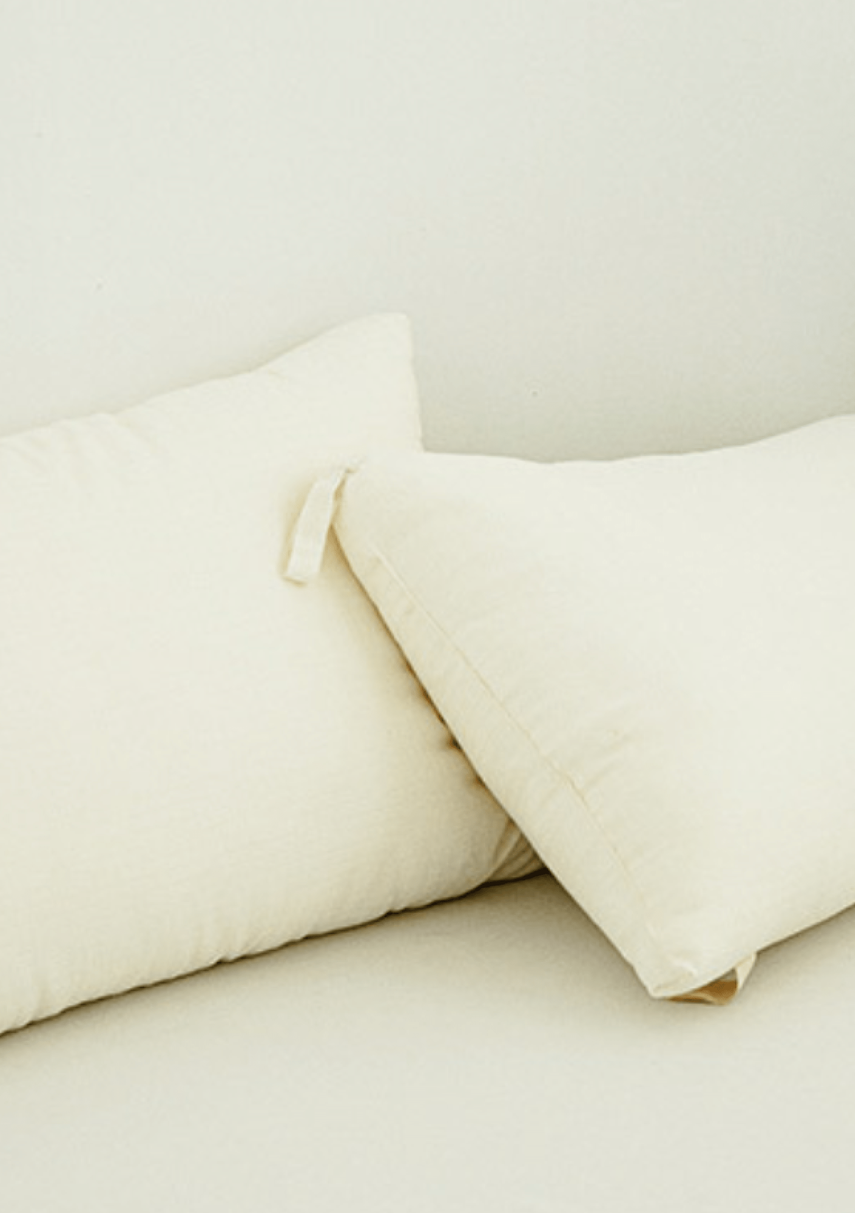  - Ever Lasting - Plant Based Pillow - Pillow - Ever Lasting
