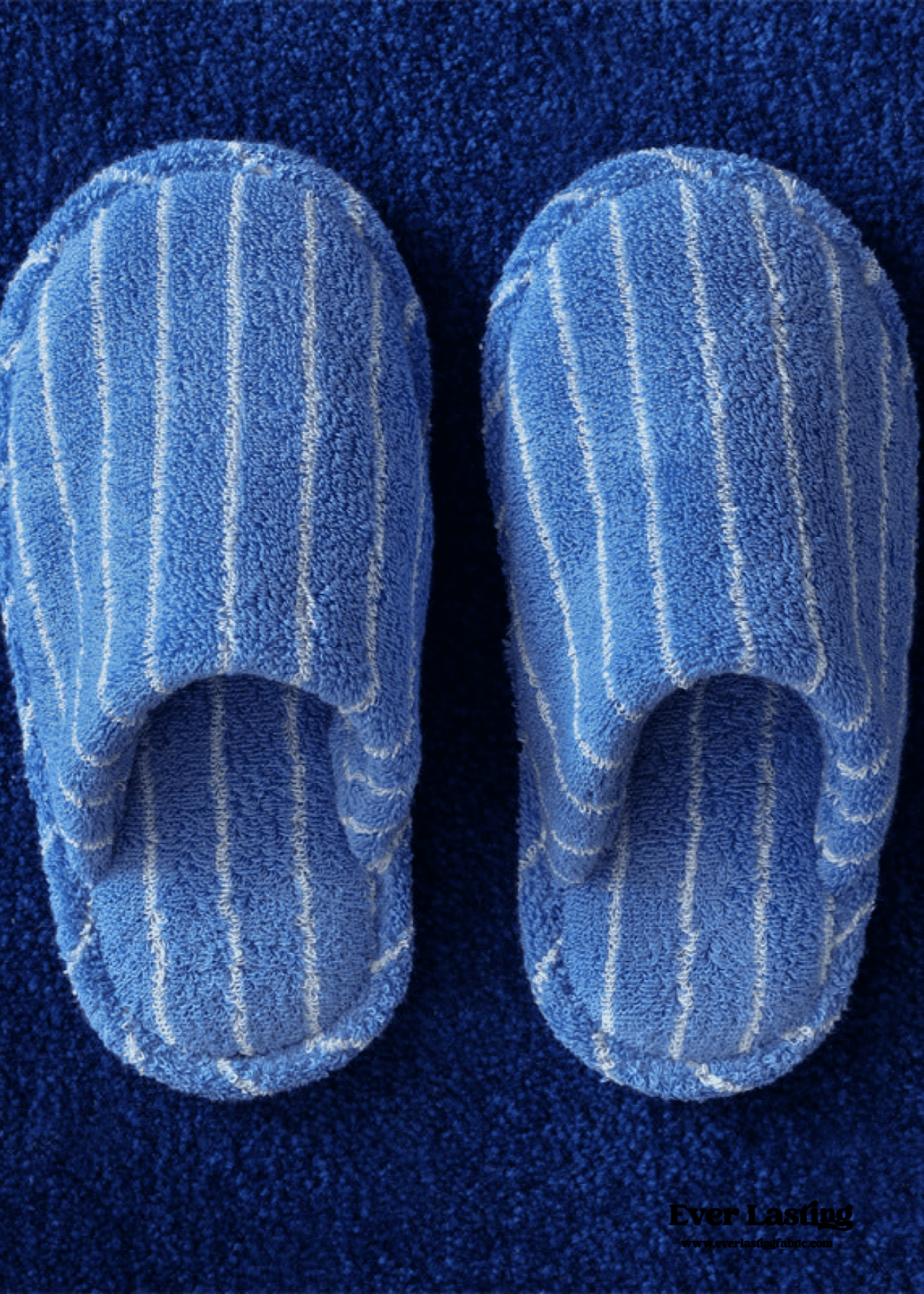 Thin Striped House Slippers / Blue - Ever Lasting