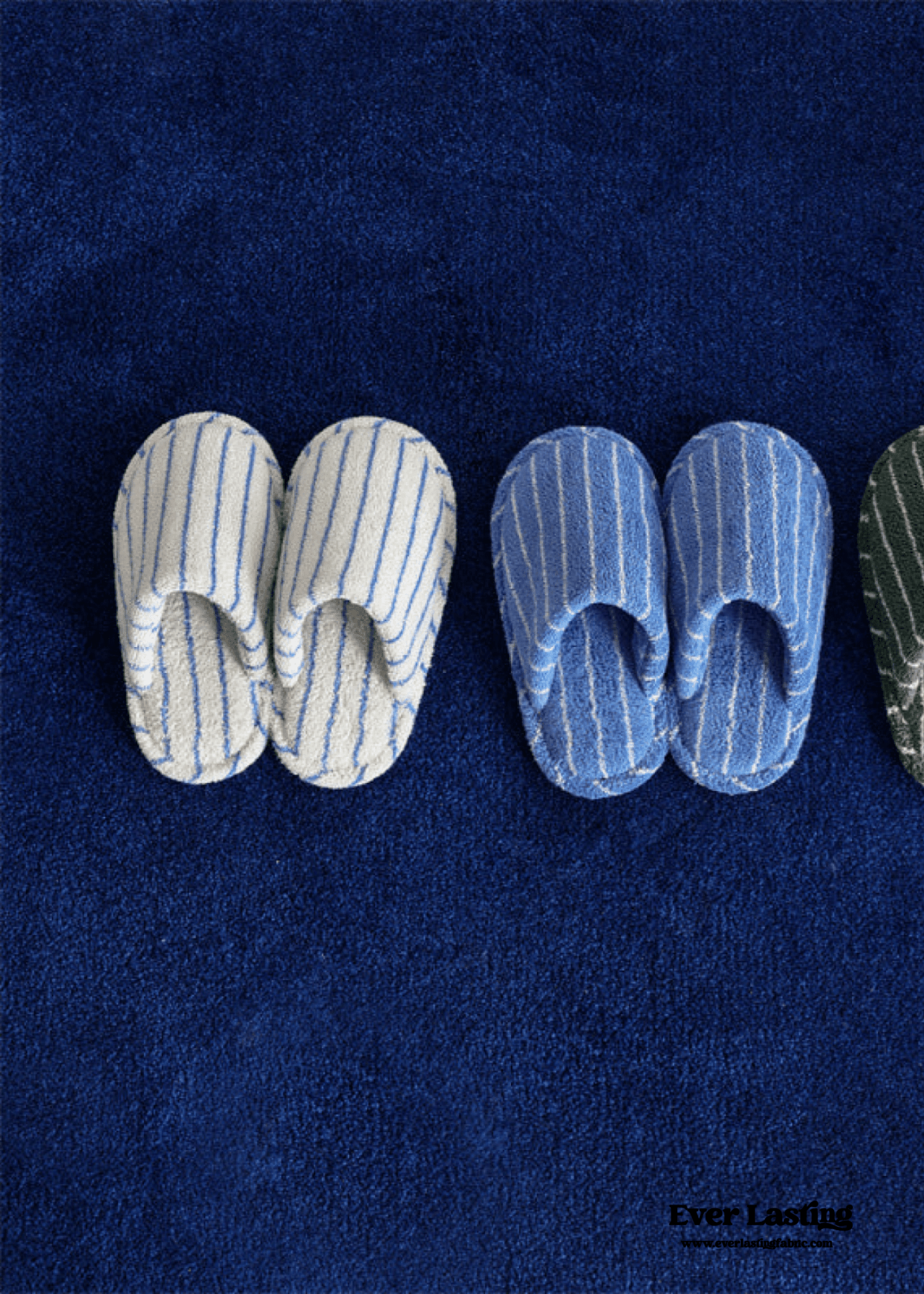 Thin Striped House Slippers / Blue - Ever Lasting
