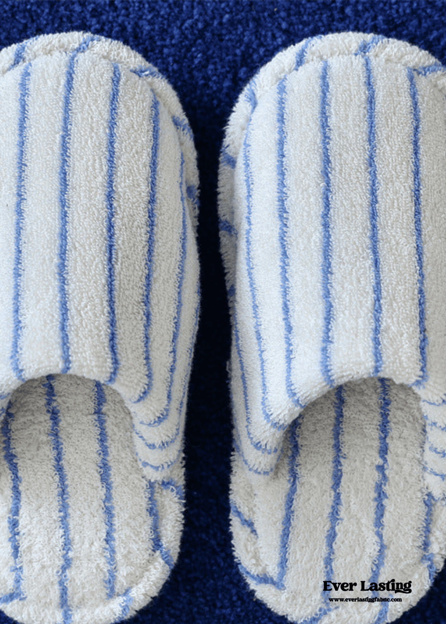 Thin Striped House Slippers / Blue - Ever Lasting