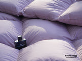 Ultra Fluffy Goose Down Duvet Insert Comforter / White