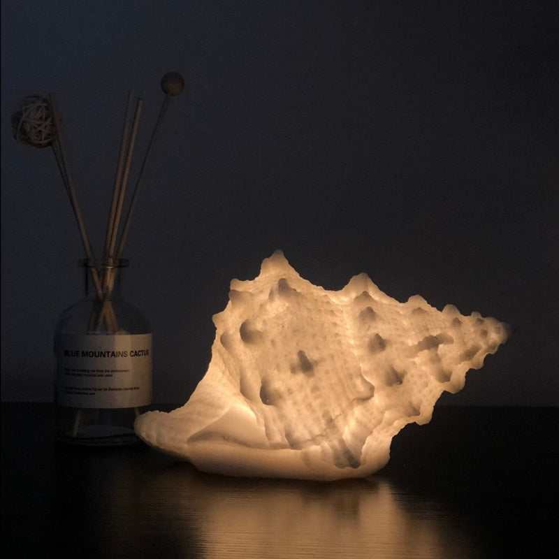 Vintage Inspired Conch Lamp Small (Conch - Battery Version) Light