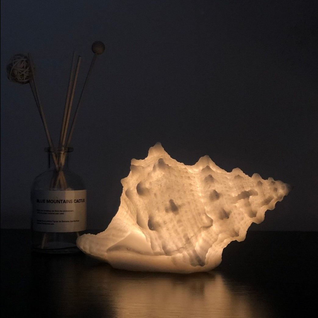  - Ever Lasting - Vintage Inspired Shell Light (2 Sizes) - Light - Ever Lasting