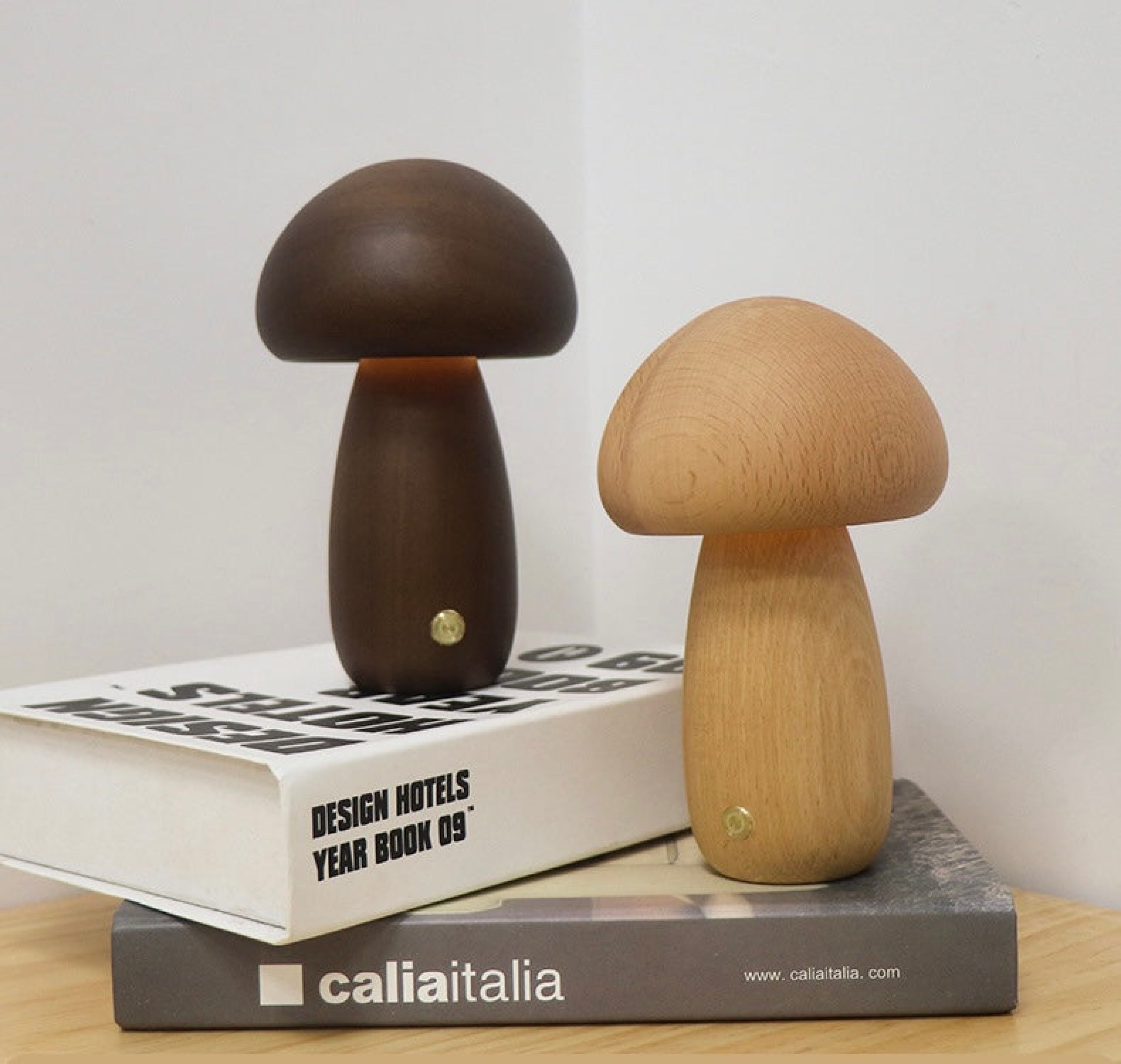 Wooden Mushroom Night Light Porcini / Beech Wood